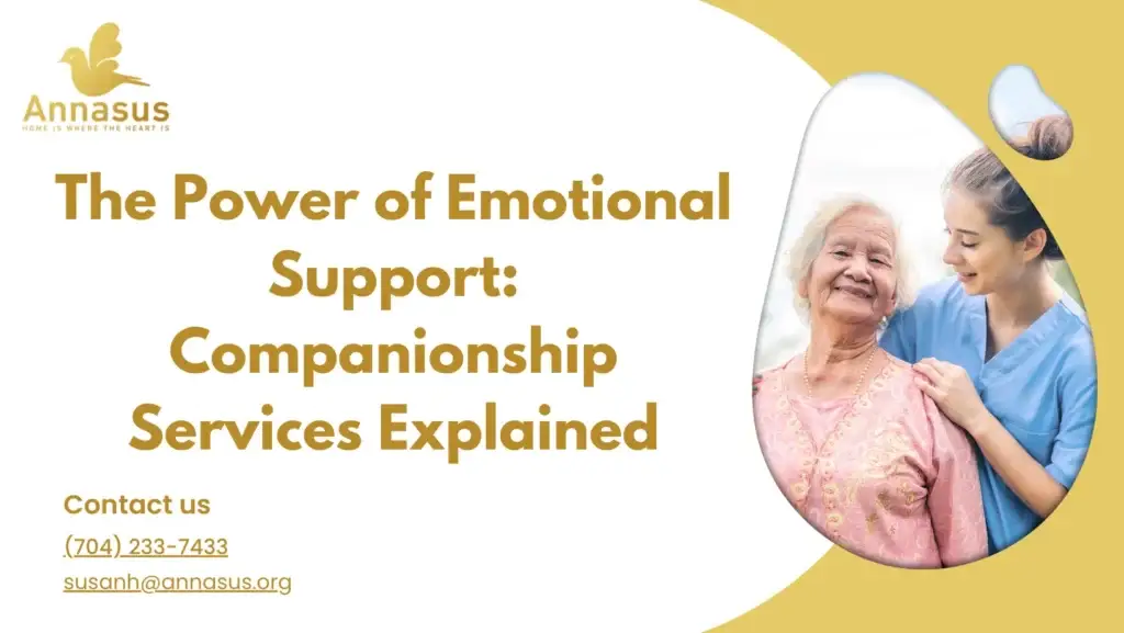 The Power of Emotional Support: Companionship Services Explained